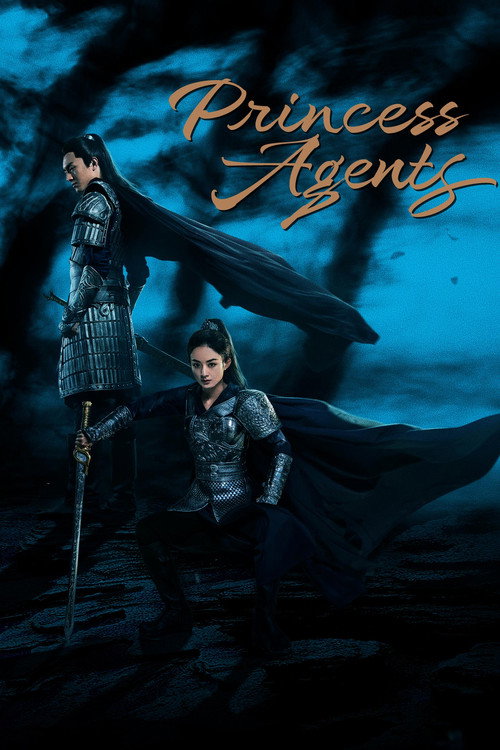 Póster de Princess Agents