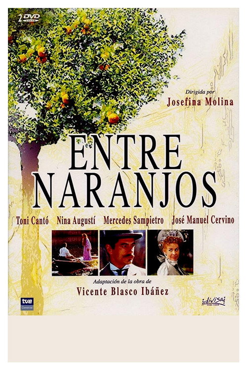 Póster de Entre naranjos