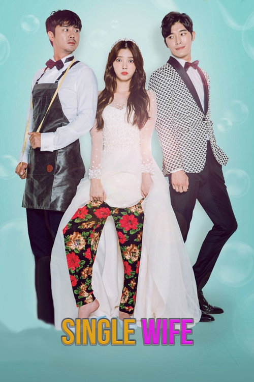 Póster de Single Wife
