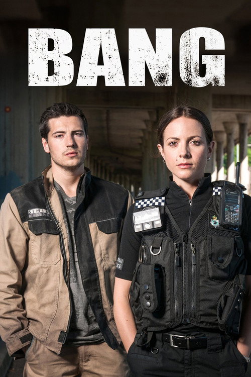 Póster de Bang