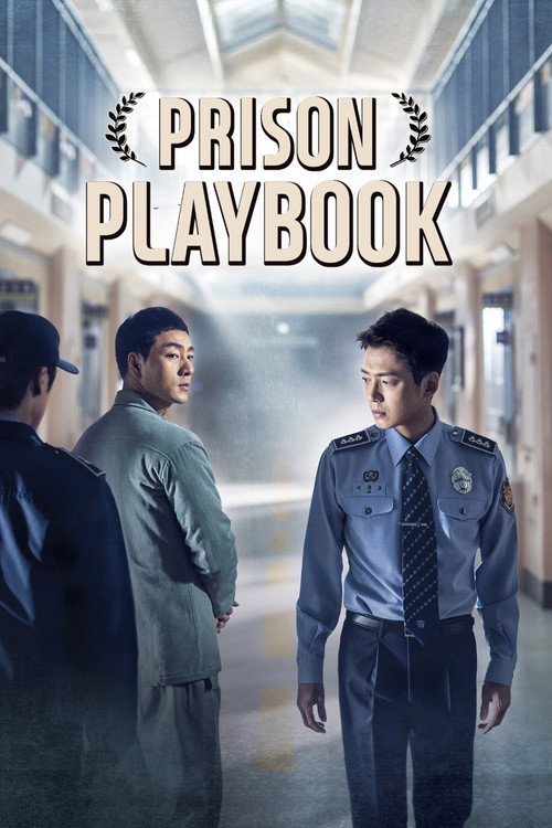Póster de Prison Playbook
