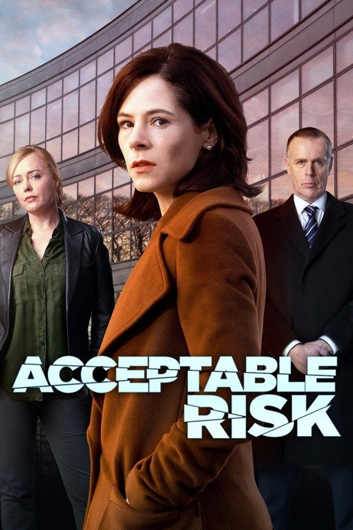 Póster de Acceptable Risk