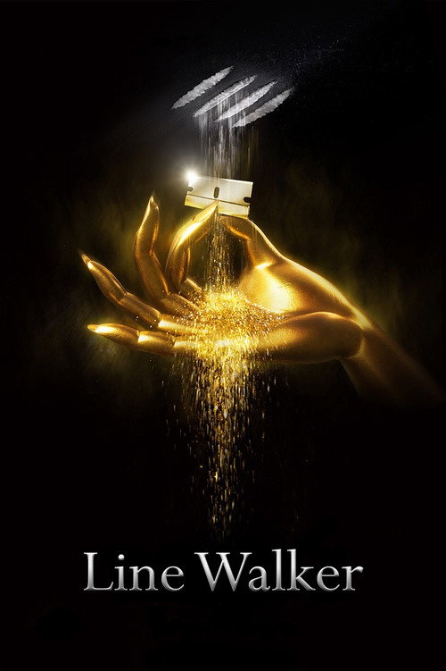 Póster de Line Walker