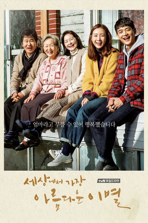 Póster de The Most Beautiful Goodbye