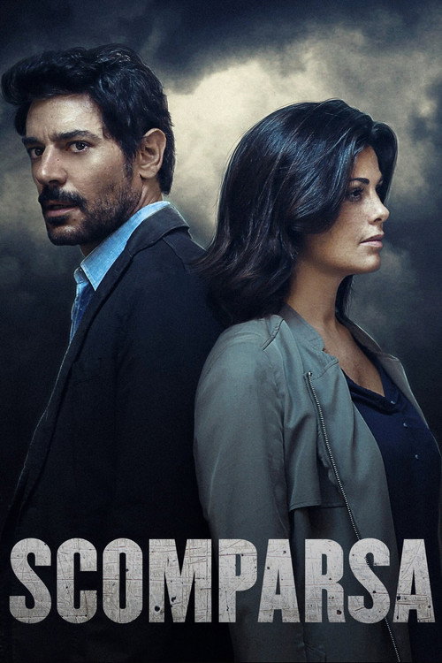 Póster de Disappeared