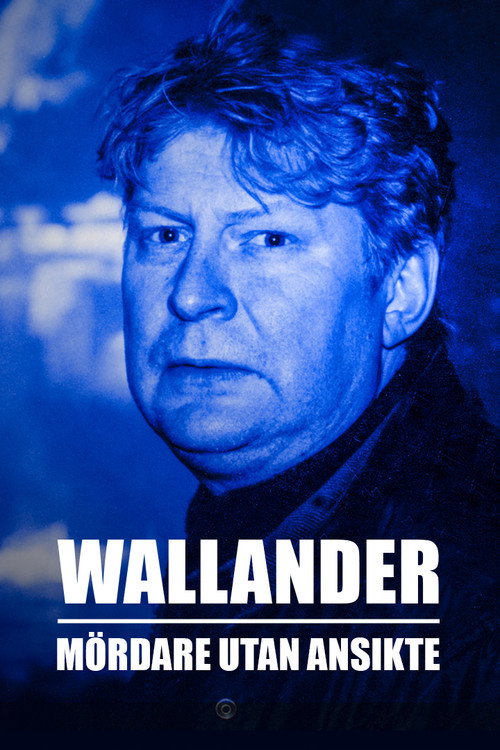 Póster de Wallander: Faceless Killers