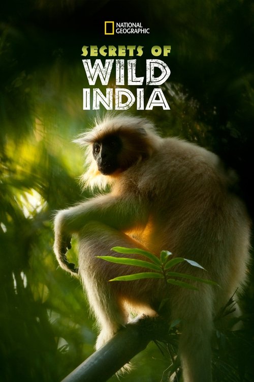 Póster de Secrets of Wild India