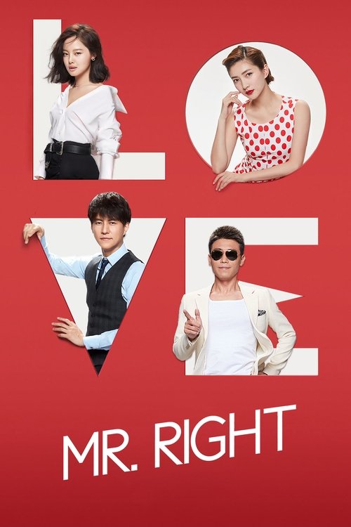 Póster de Mr. Right