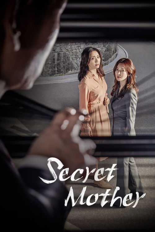 Póster de Secret Mother