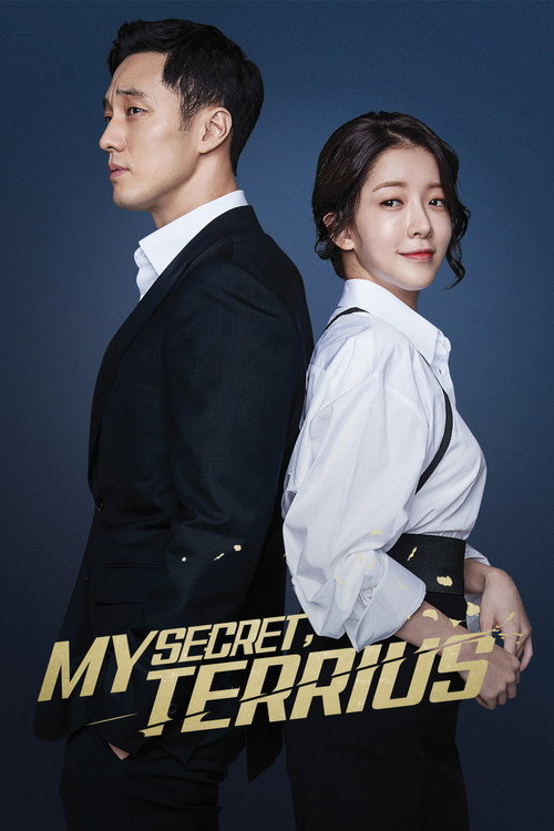 Póster de My Secret, Terrius