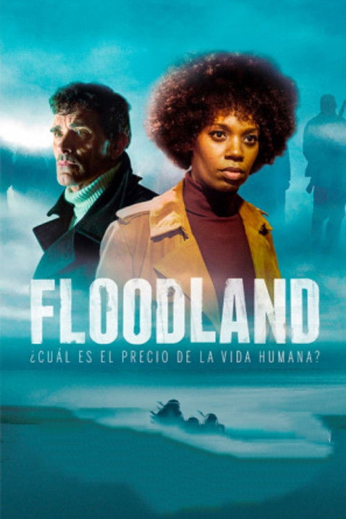 Póster de Floodland
