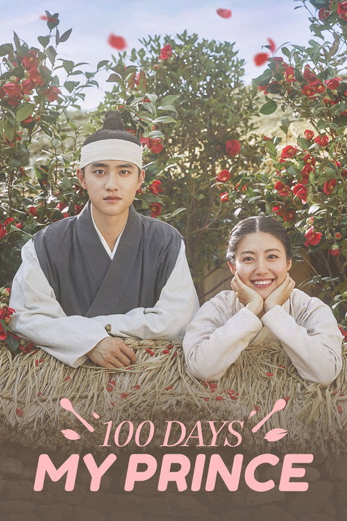 Póster de 100 Days My Prince