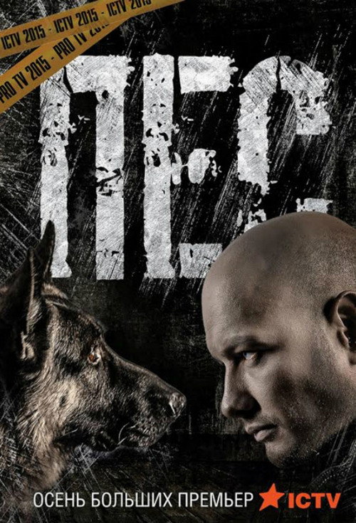 Póster de Dog