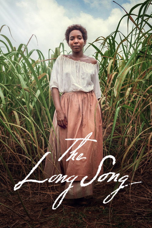 Póster de The Long Song