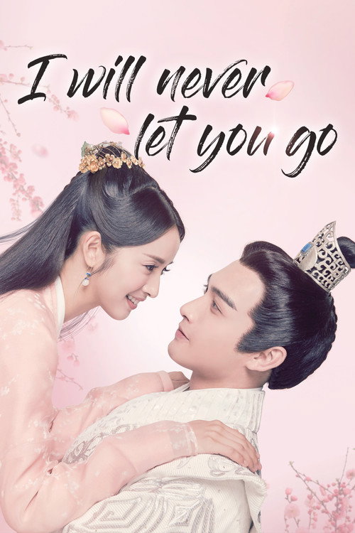 Póster de I Will Never Let You Go