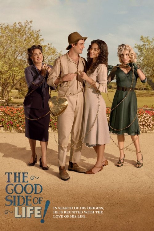 Póster de The Good Side of Life