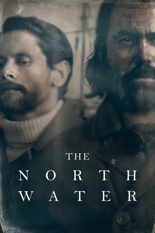 Póster de The North Water
