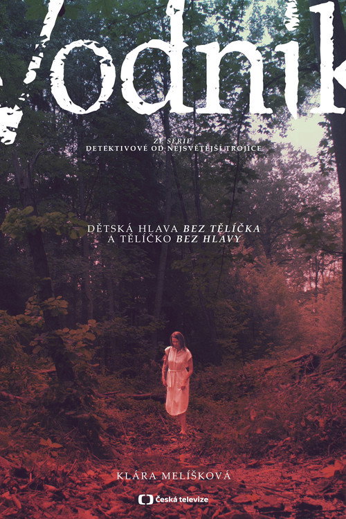 Póster de Vodník