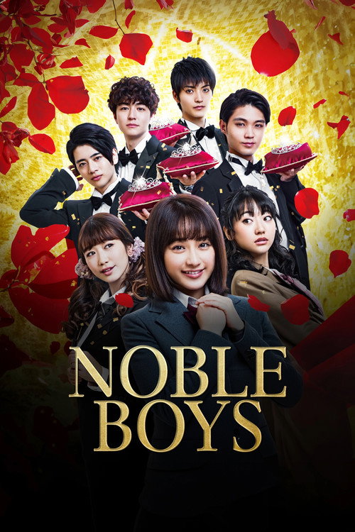 Póster de Noble Boys