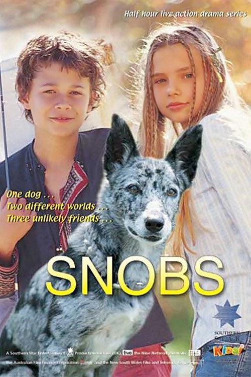 Póster de Snobs