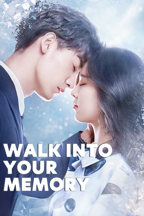 Póster de Walk Into Your Memory