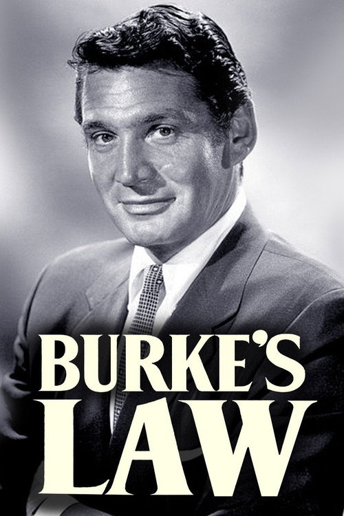 Póster de Burke's Law