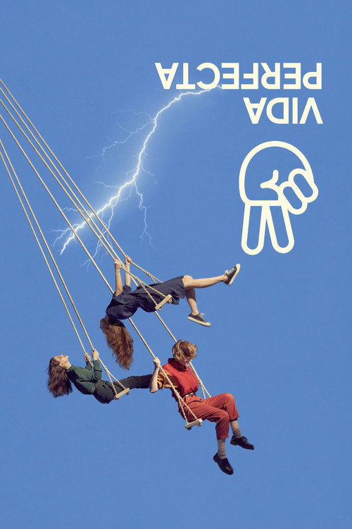 Póster de Vida perfecta