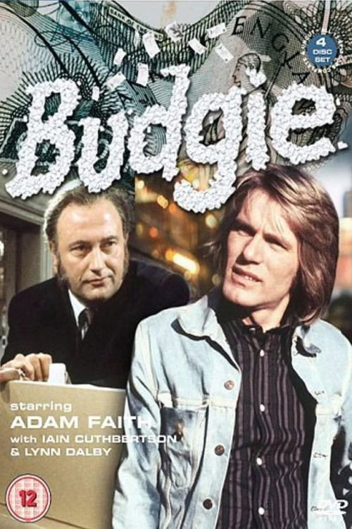 Póster de Budgie
