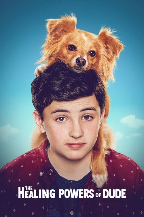 Póster de The Healing Powers of Dude