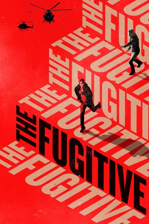 Póster de The Fugitive
