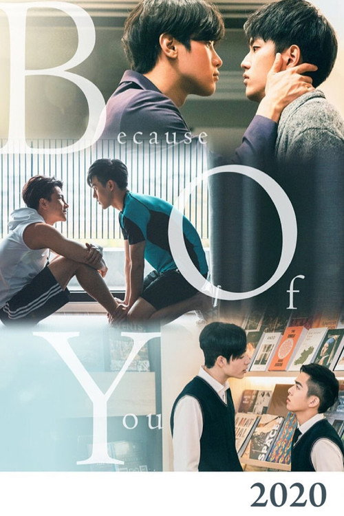 Póster de Because of You