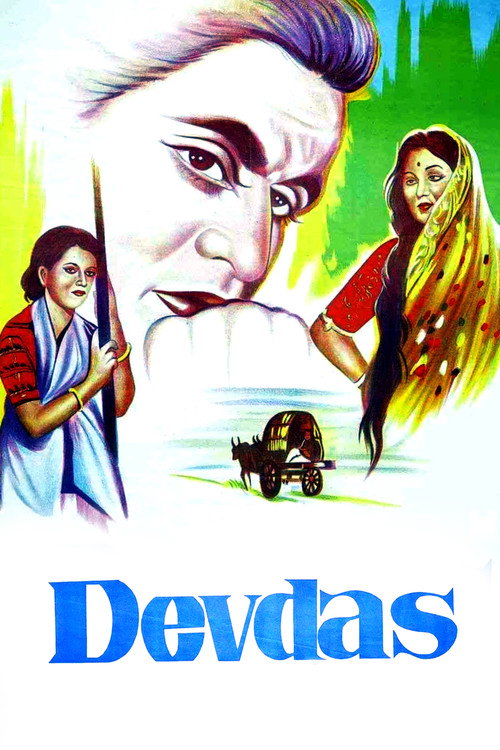 Pôster de Devdas