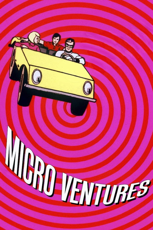 Póster de Micro Ventures