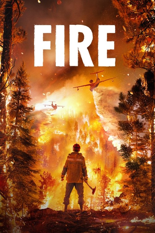 Póster de Fire